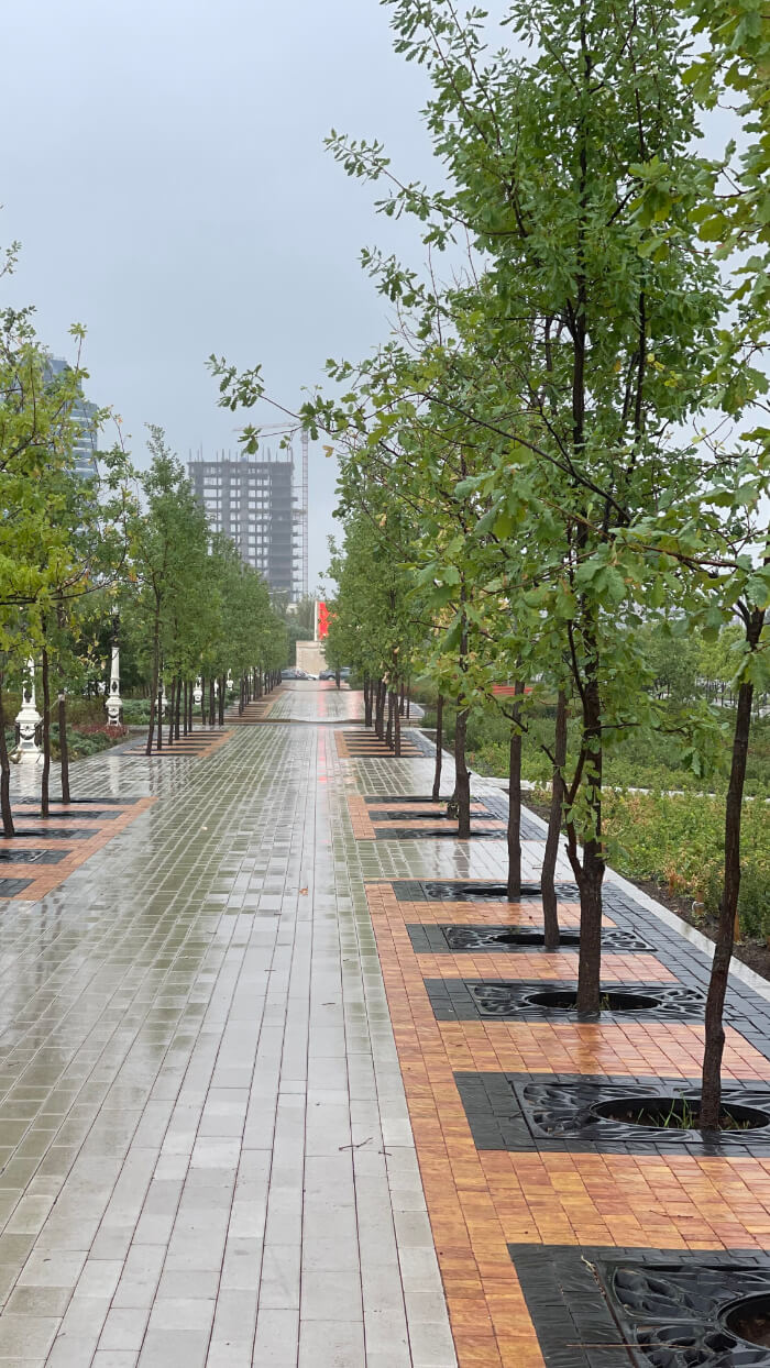 Приствольная решетка для дерева ZKING CRUST 1.2х1.2м Черная в Анапе фото