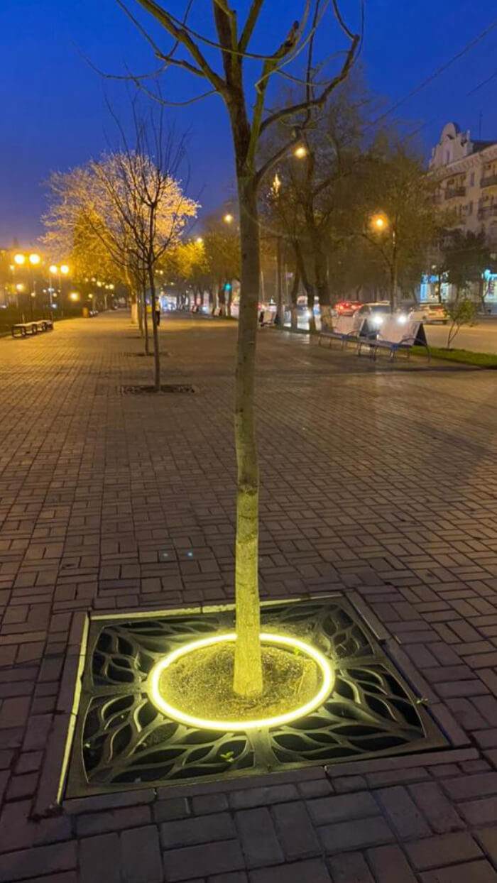 Приствольная решетка для дерева ZKING CRUST 1.2х1.2м Черная в Анапе фото